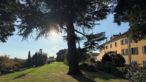 A grassy area with a large tree and a building with multiple windows.