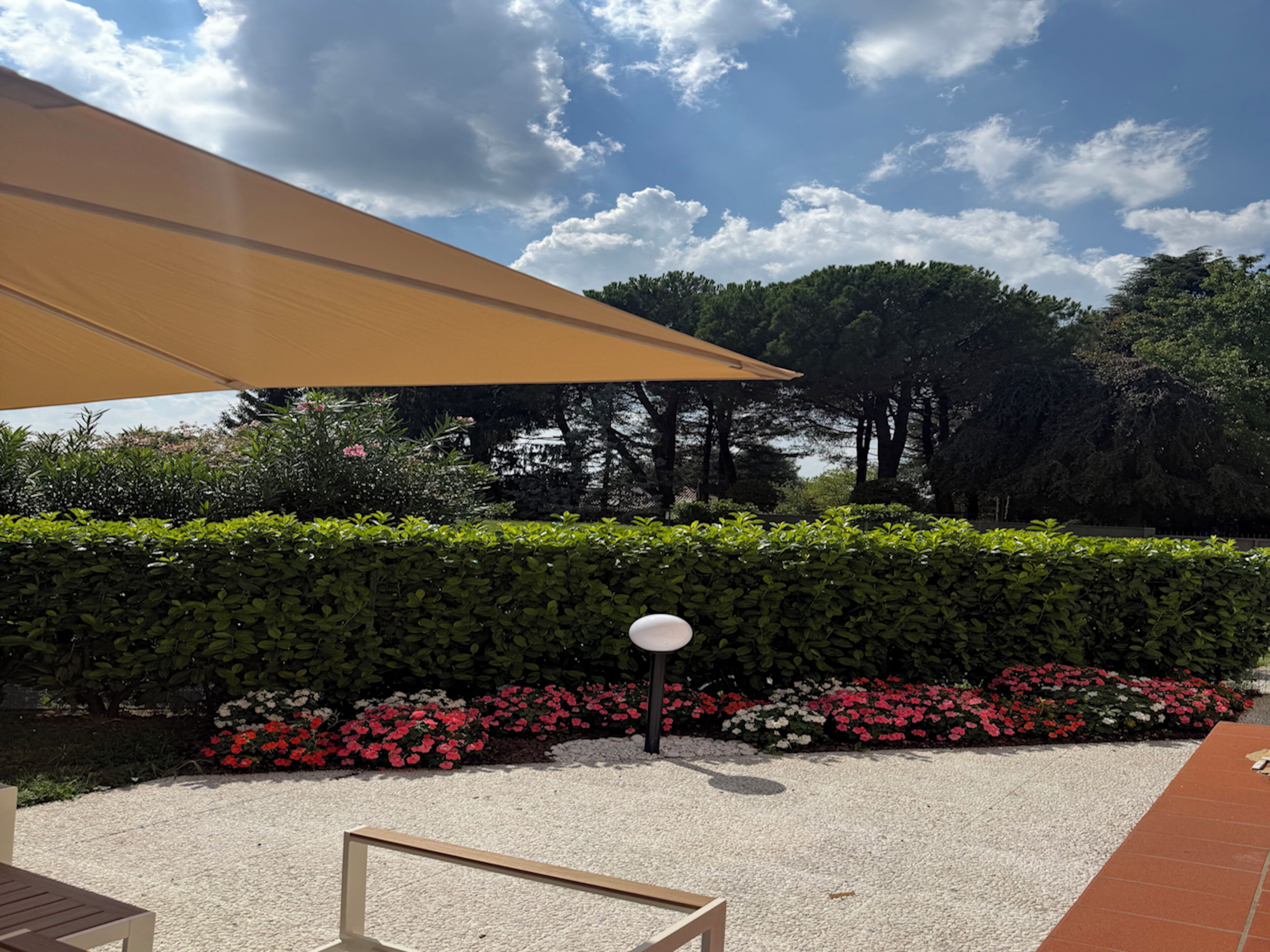 An outdoor seating area with a table and chairs, a large umbrella, and a hedge with red and white flowers.