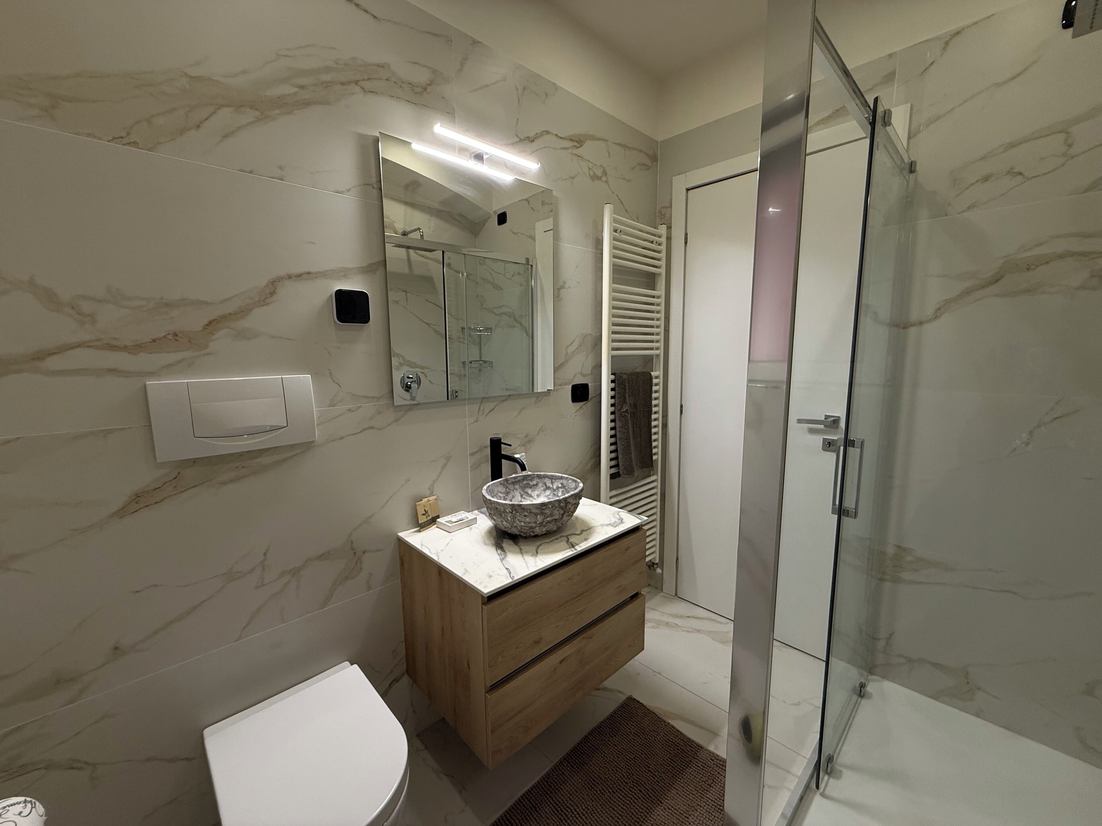 Shower, bidet, towels, shampoo