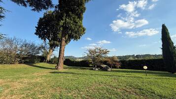 Un espacio al aire libre con césped, árboles y cielo despejado.