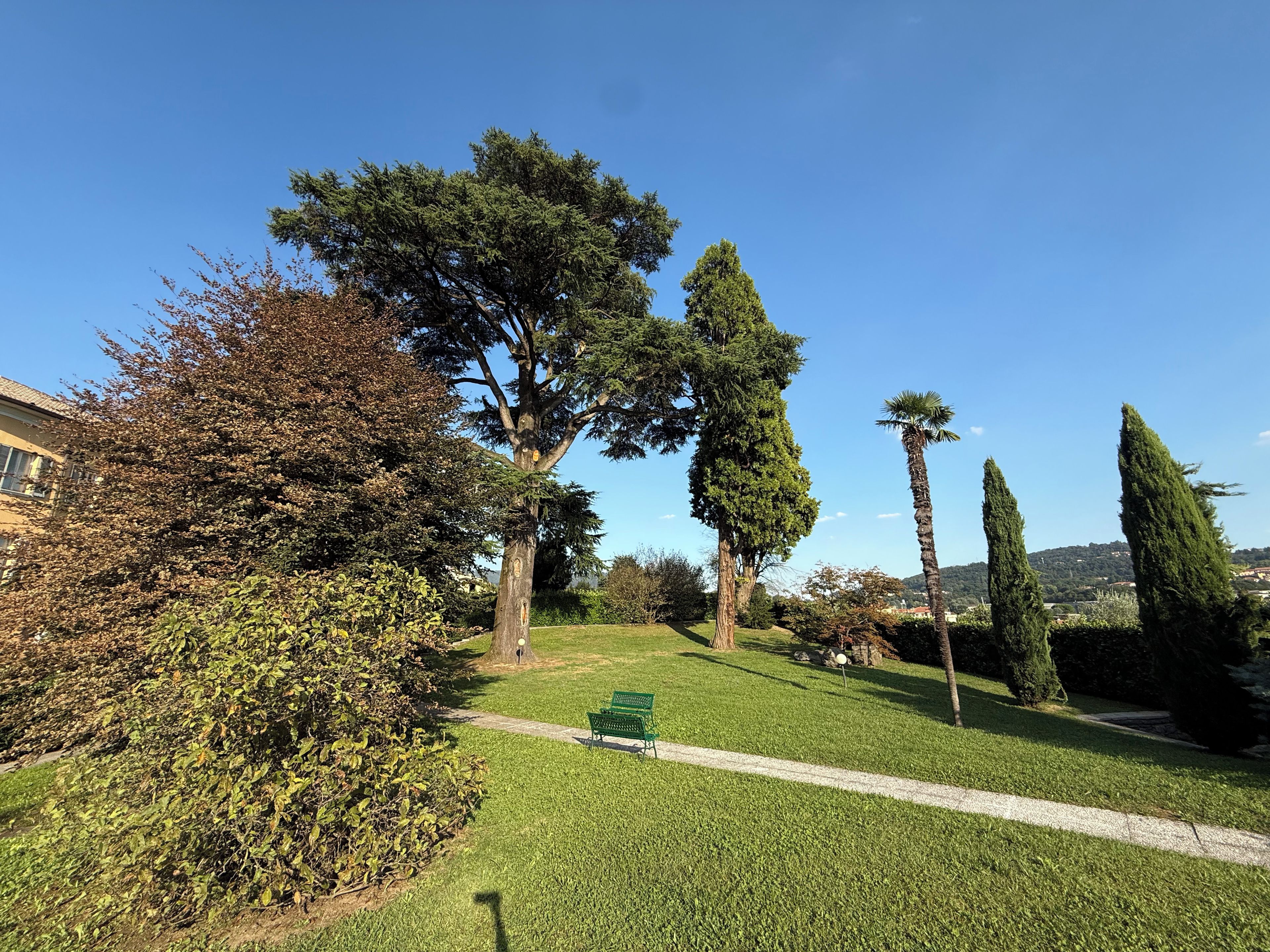 A park with a green bench, trees, and a clear sky.