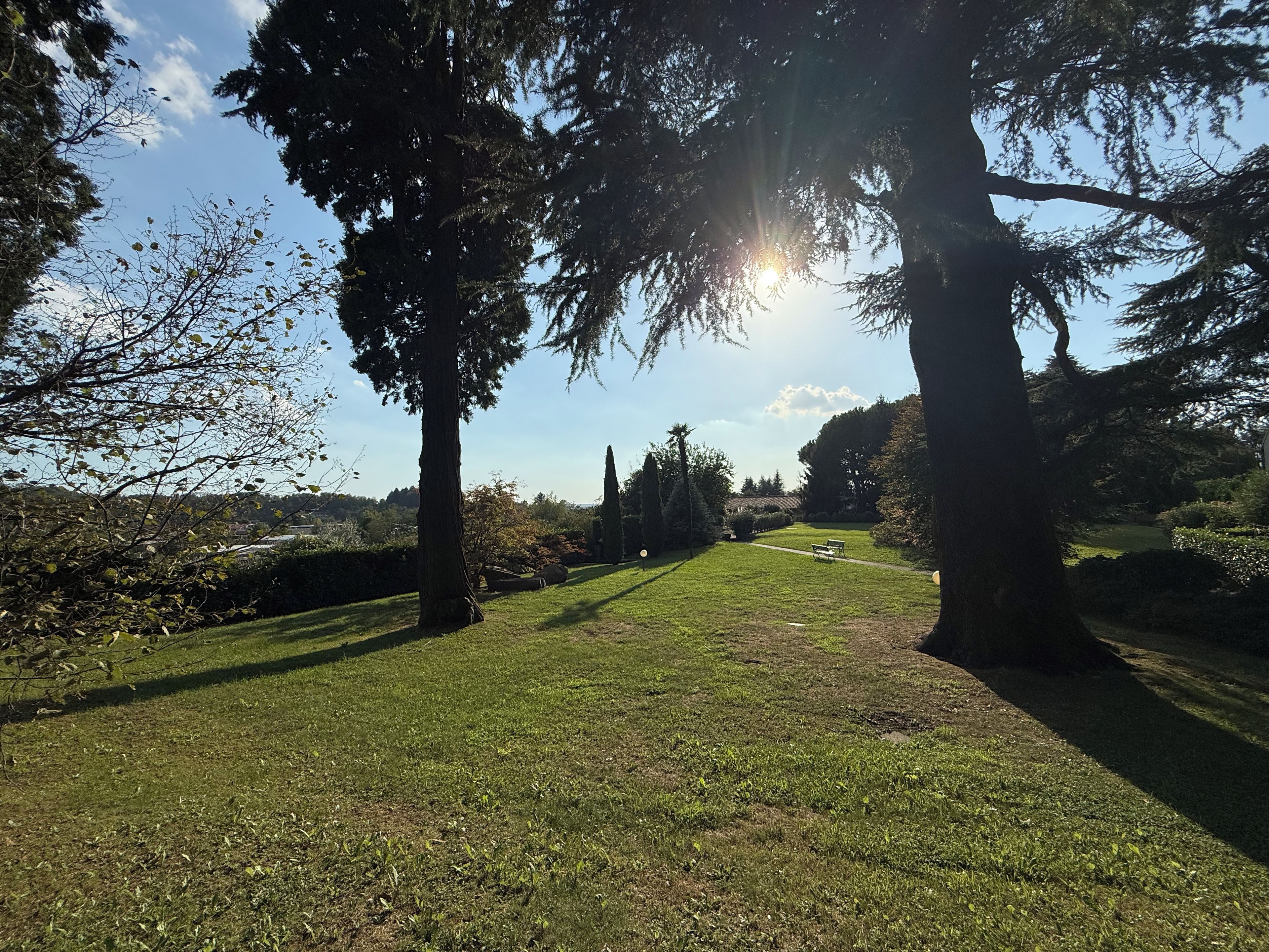 Un parque con césped, árboles y un banco.