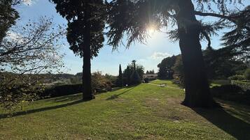 Un parque con césped, árboles y un banco.
