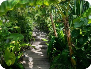 A wooden staircase surrounded by lush tropical plants. - Villa Elé, 4 bedrooms, tropical garden and pool (Orient Bay)
