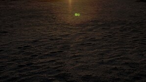 Een strand met de zon die ondergaat aan de horizon, waardoor een weerspiegeling op het water ontstaat.