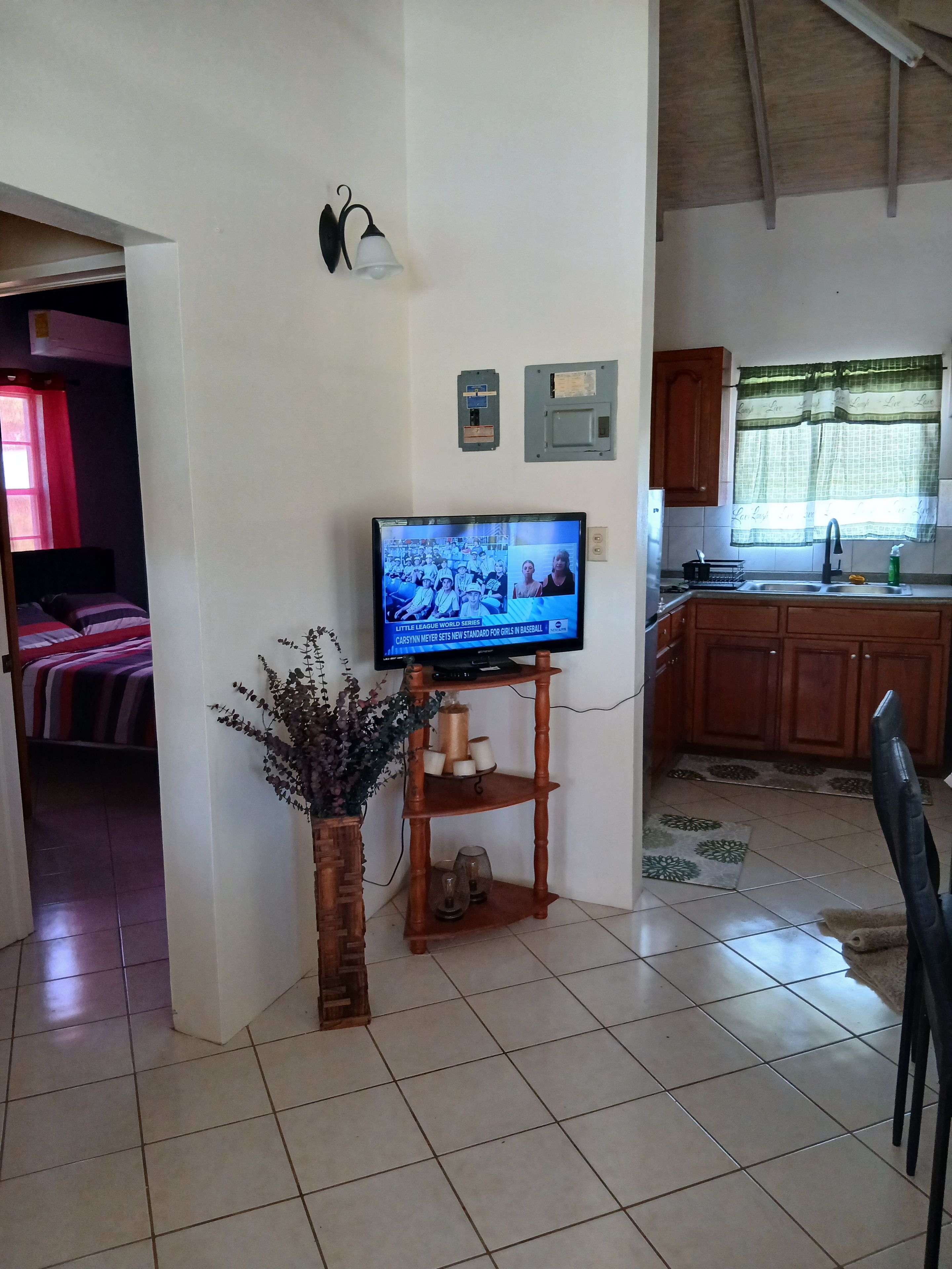 Une pièce avec un téléviseur posé sur un meuble en bois, une petite plante et un coin cuisine avec des placards en bois et une fenêtre avec un rideau.