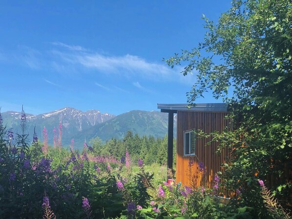 A small wooden cabin with a window, surrounded by lush greenery and purple flowers, set against a backdrop of mountains.