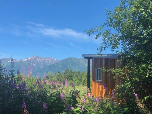 Tiny Home - 17A  Work & Play