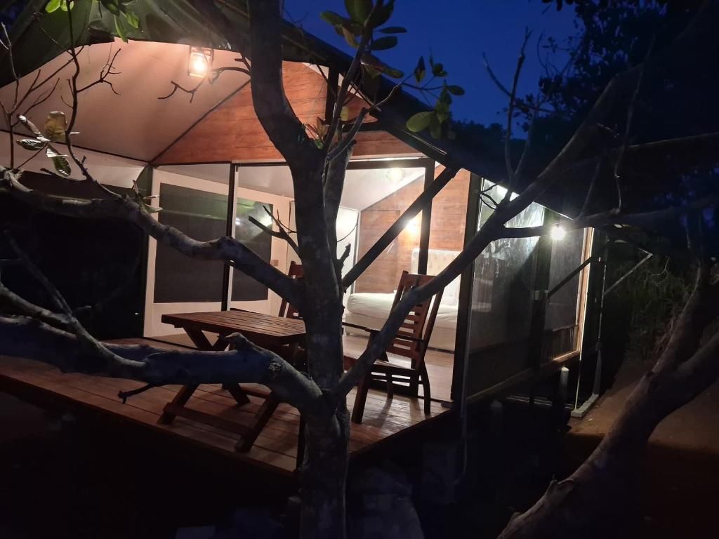 Terraza o patio