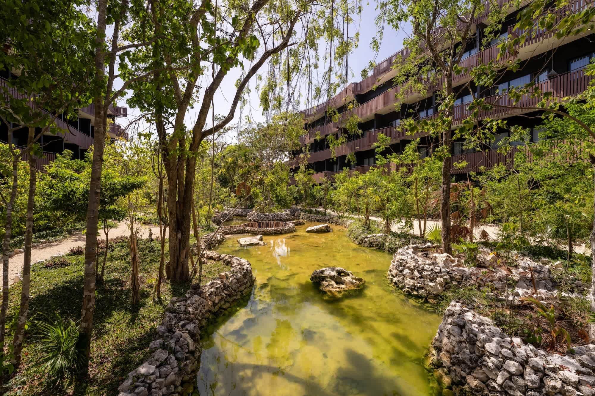 A naturalistic courtyard with a water feature, surrounded by trees and a multi-story building.