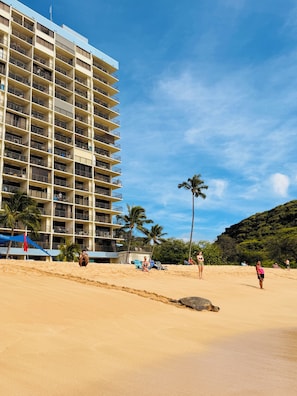Ein Strandhotel mit mehreren Balkonen, Palmen und blauem Himmel.