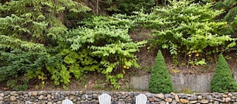 Cozy 1-bedroom studio guest house in Wallace Idaho