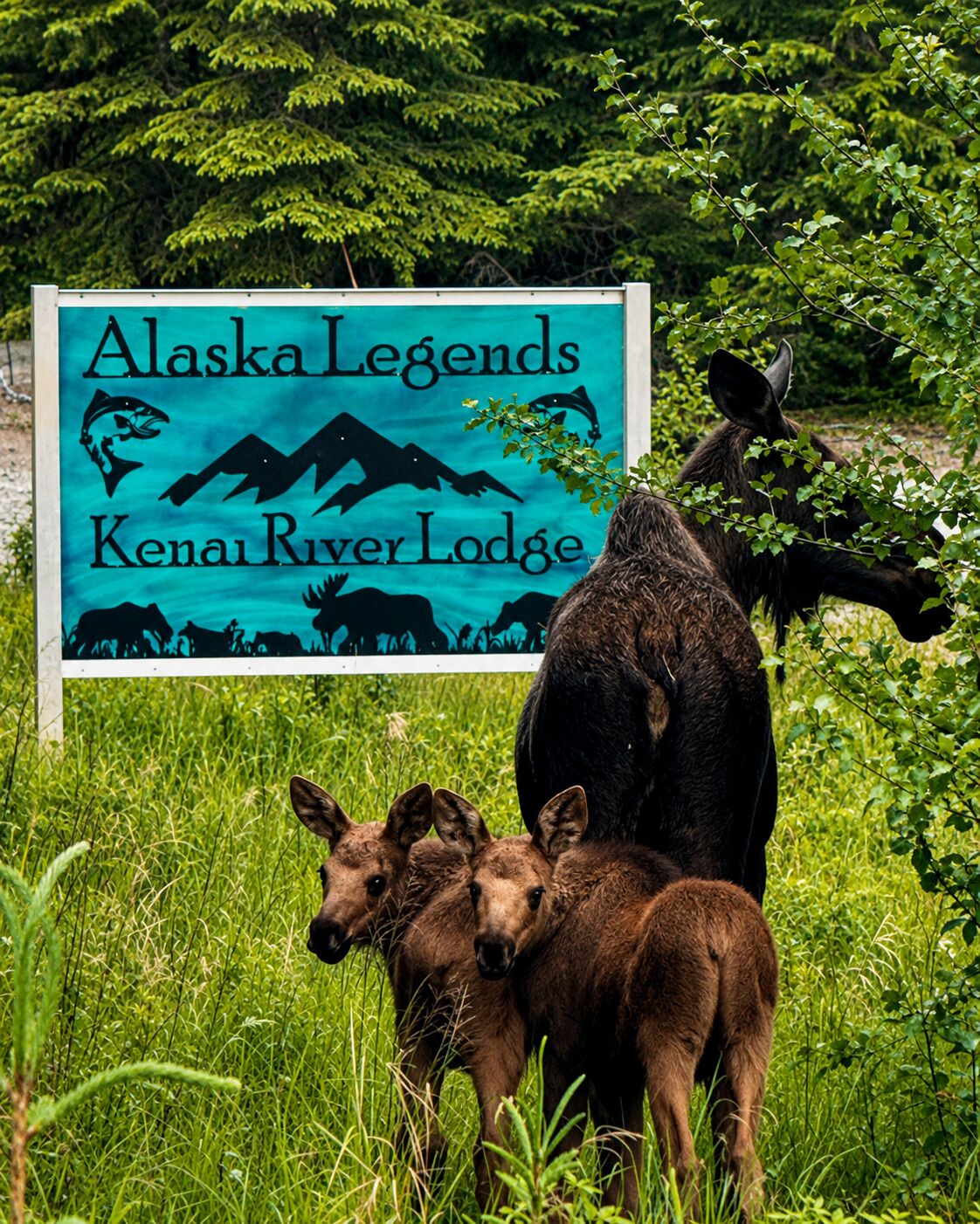 Señal de Alaska Legends Kenai River Lodge, con un alce y un oso al fondo.