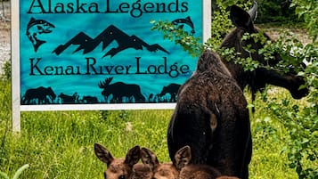 Señal de Alaska Legends Kenai River Lodge, con un alce y un oso al fondo.