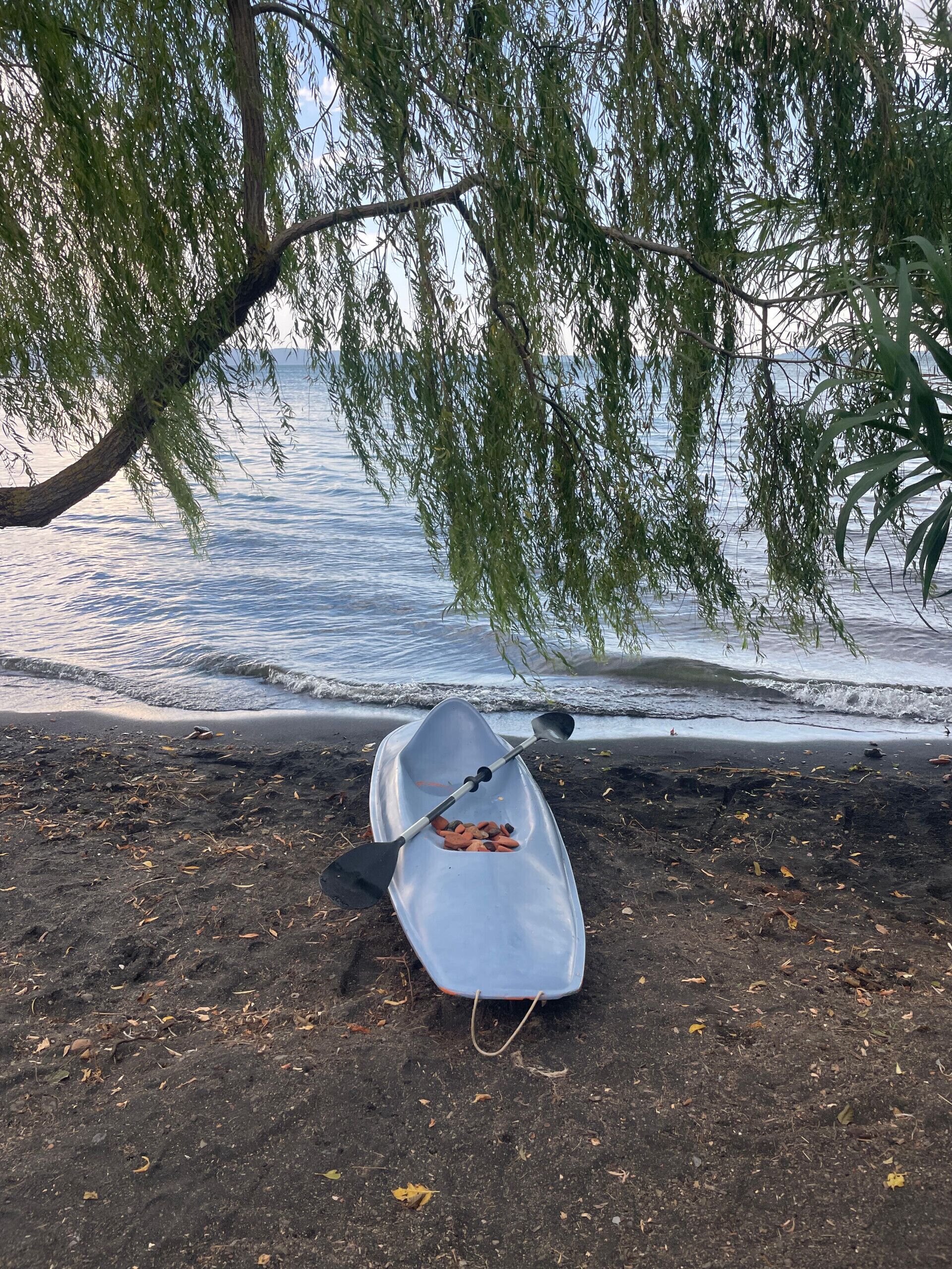 Un kayak con remos descansando sobre una playa arenosa, parcialmente a la sombra de un árbol.