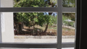 A view through a window with a grid pattern, possibly a screen or window blind, with a blurred outdoor scene. - CasaMIA RD: Your Caribbean retreat. (Río San Juan)