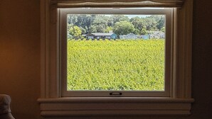 A room with a window overlooking a field.