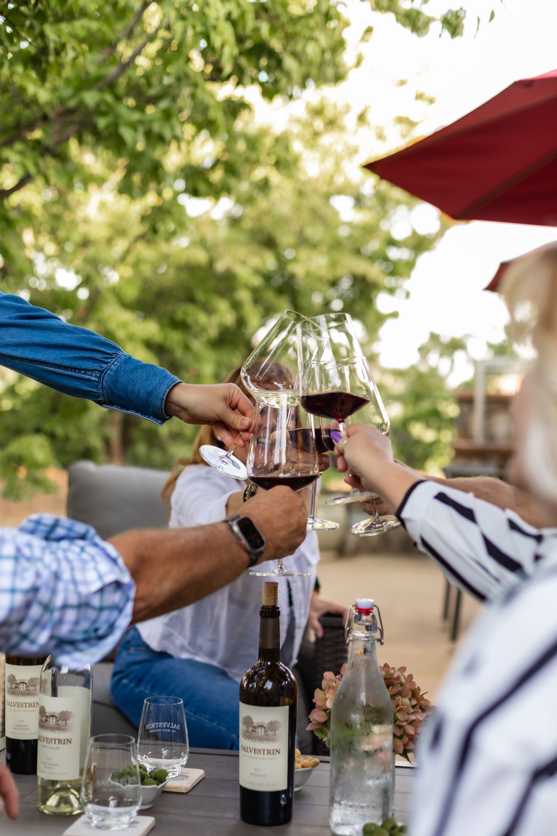 Un grupo de personas brindando con copas de vino, sentadas al aire libre alrededor de una mesa con botellas y copas.