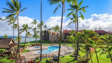 A resort with a pool, palm trees, and ocean views.