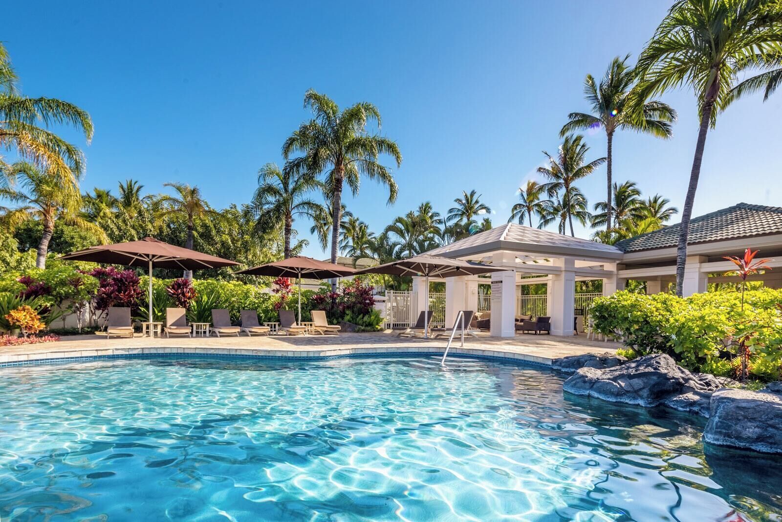 Una piscina con sillones de descanso y sombrillas, rodeada de palmeras y plantas tropicales.