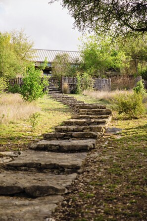 A stone pathway leading to a building with a metal roof. - Private 14 Acre Estate on Barton Creek with Two Homes, Pool and Multiple Gardens (Austin)