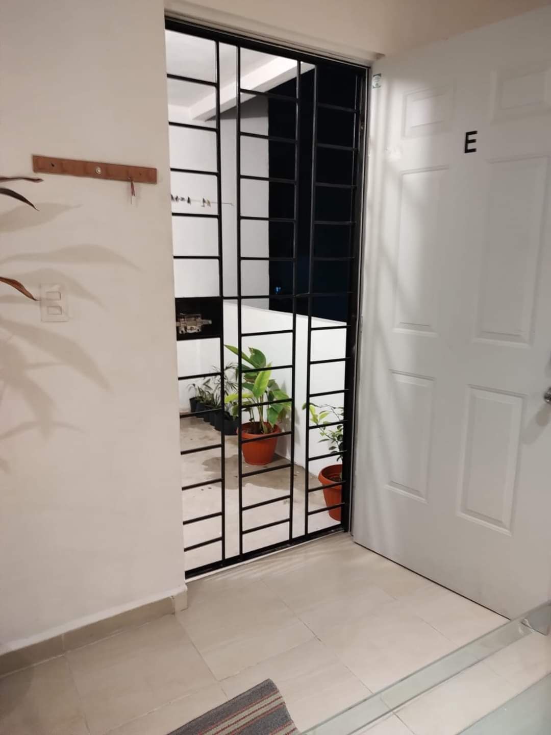 A hallway with a white door marked with an 'E', a black metal gate, and potted plants on a balcony.