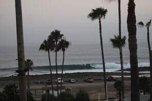 Una playa con palmeras, costa rocosa y coches aparcados.