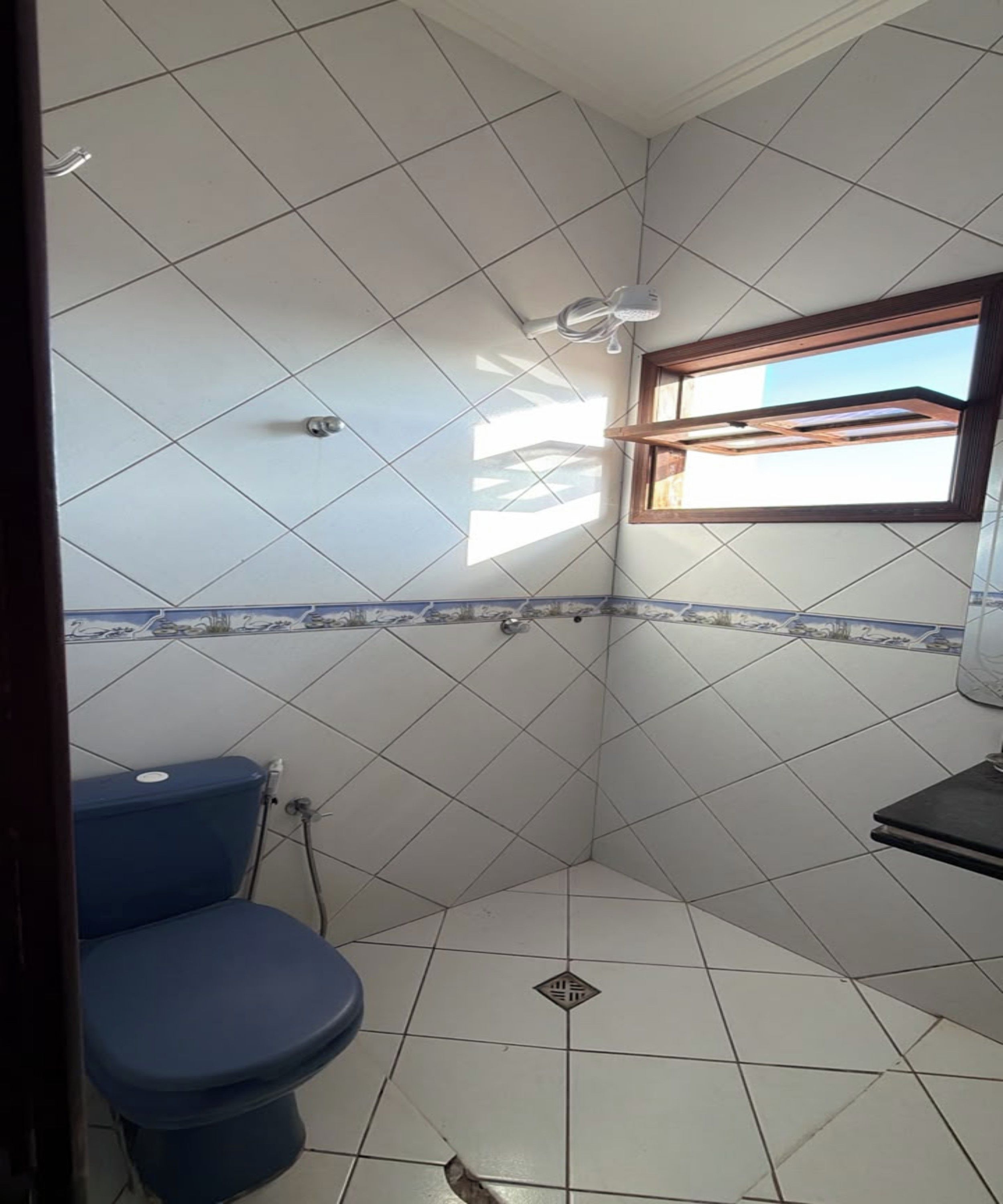 A bathroom with a toilet, shower, and a window.