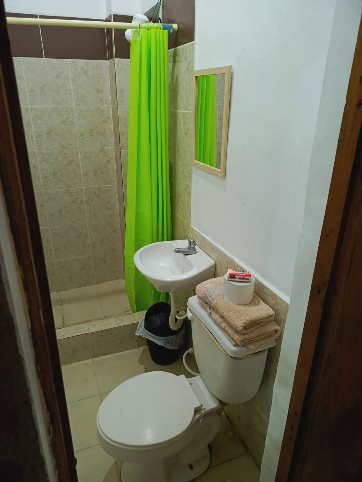 A bathroom with a toilet, sink, and green shower curtain.