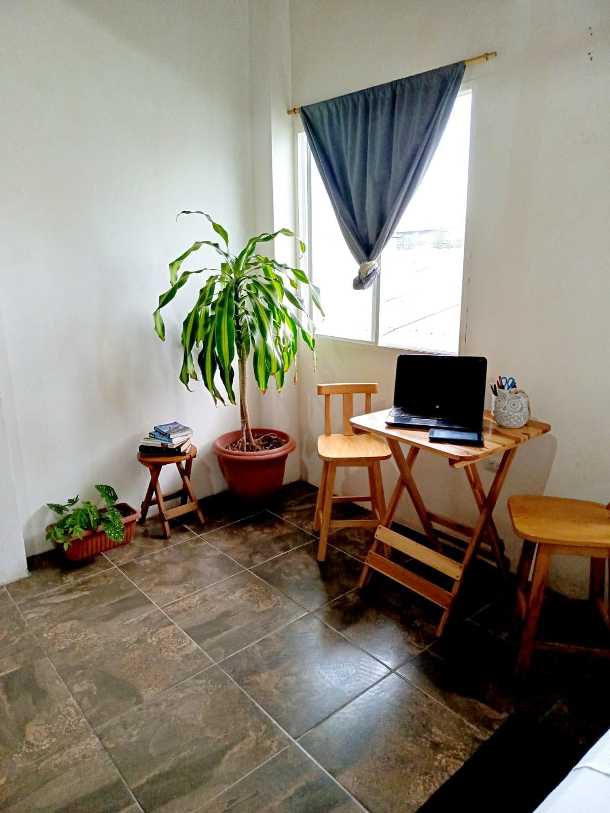 A small room with a potted plant, a laptop on a wooden table, and a chair.