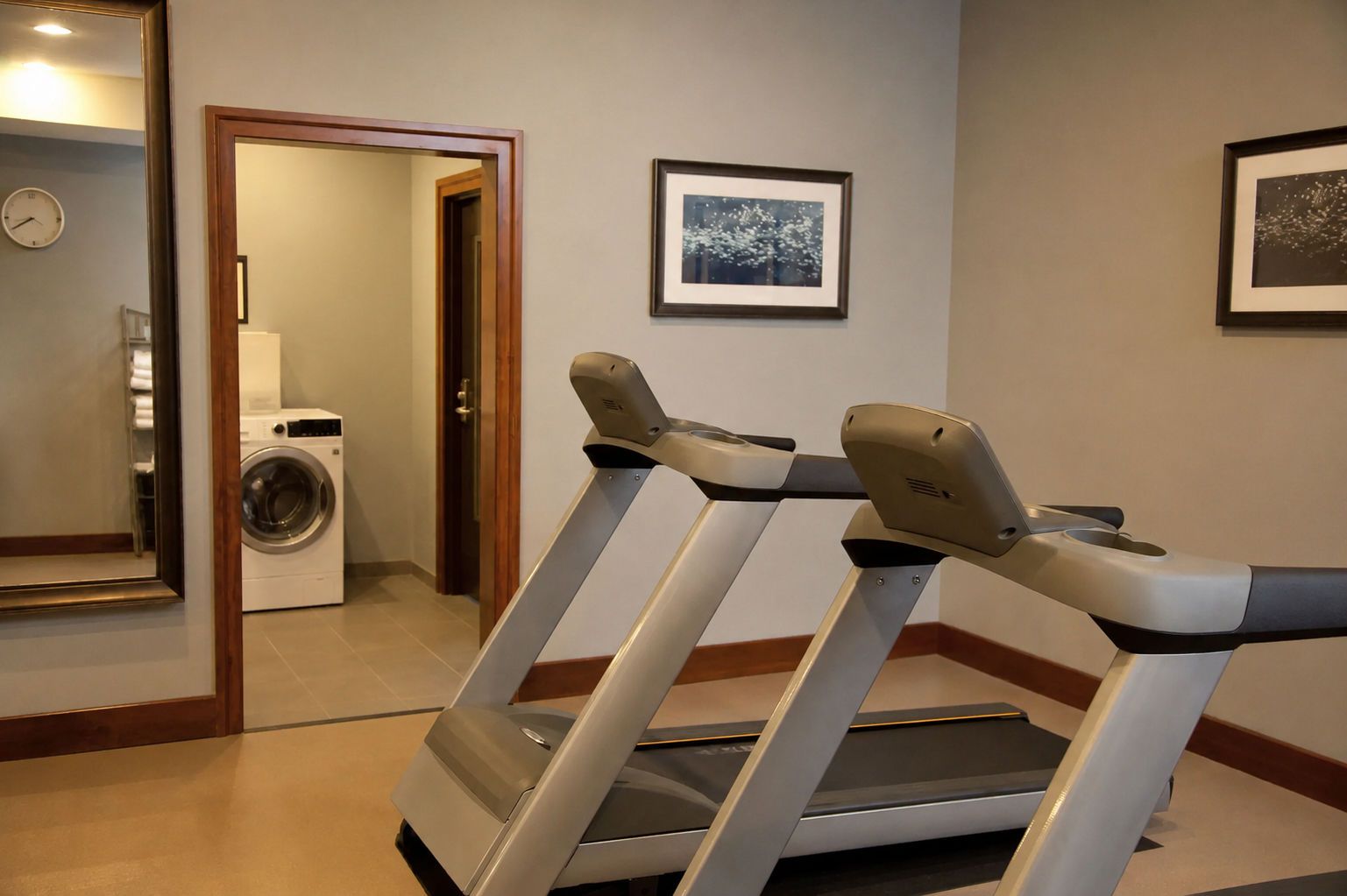 A home gym with treadmills, a washing machine, and a mirror reflecting the room.