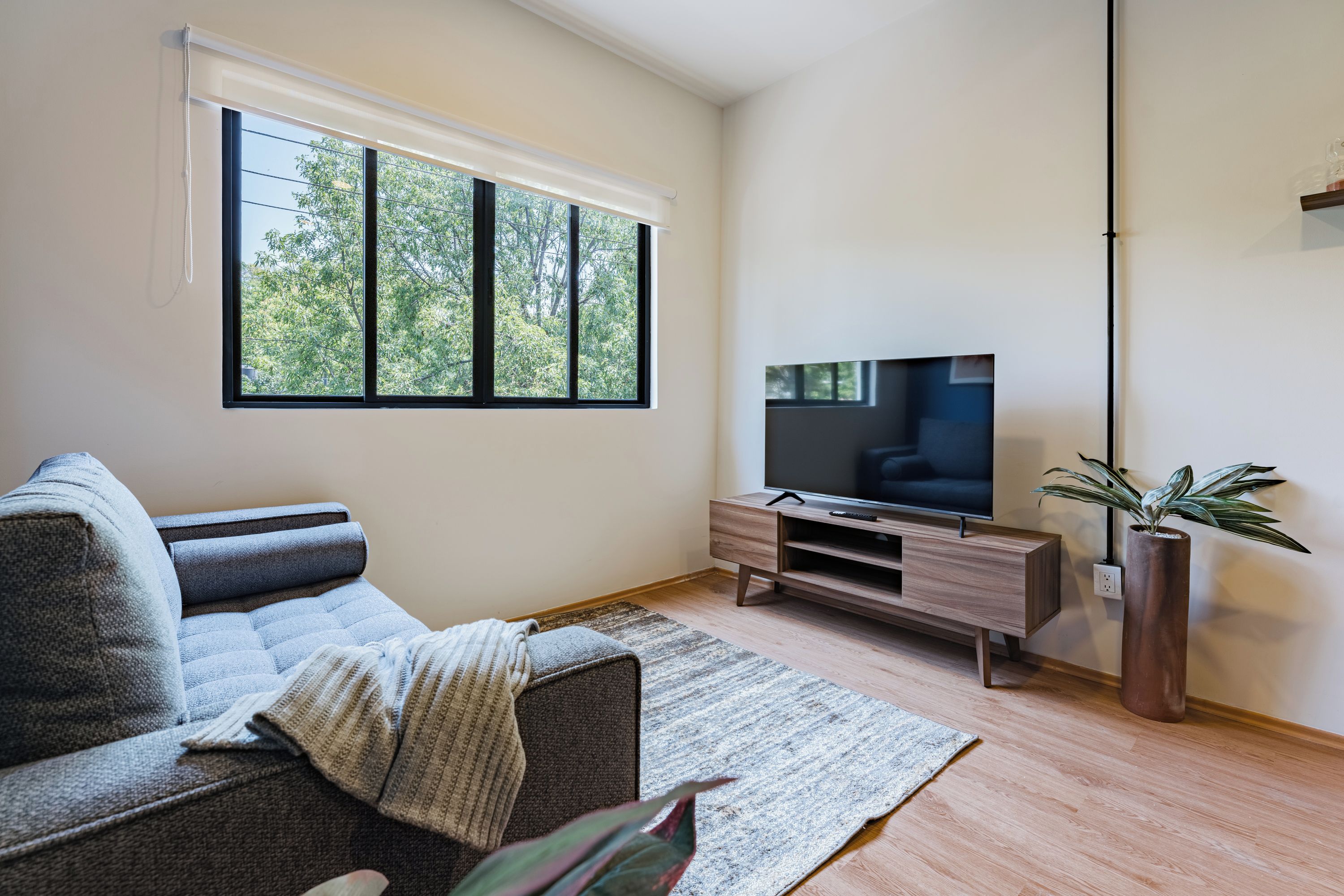 A modern living room with a sofa, a flat-screen TV on a wooden stand, a large window with a view of trees, and a potted plant.