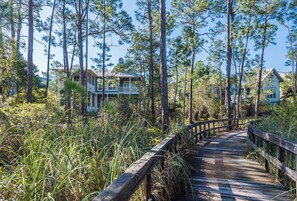A wooden boardwalk surrounded by tall pine trees leading to a house with a balcony. - WaterColor Lake Views & Resort Amenities- Far Niente by Royal Destinations (Santa Rosa Beach)