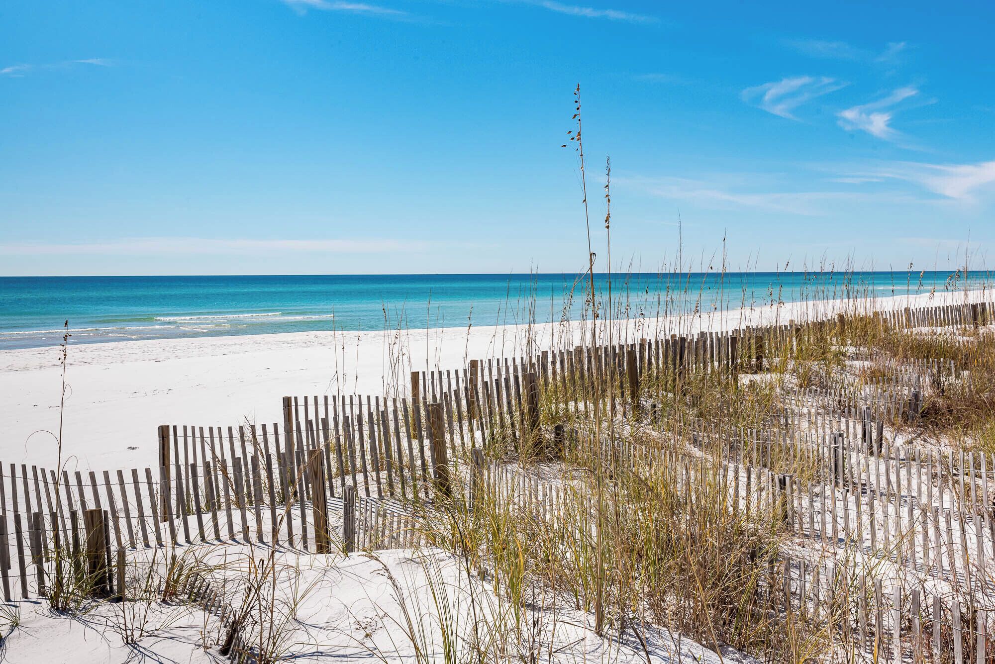 A sandy beach with a wooden fence and sparse vegetation.