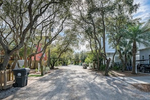 A gravel driveway flanked by trees and houses. - Pet Friendly with Pool, Near Beach & Seaside- Moondance by Royal Destinations (Santa Rosa Beach)