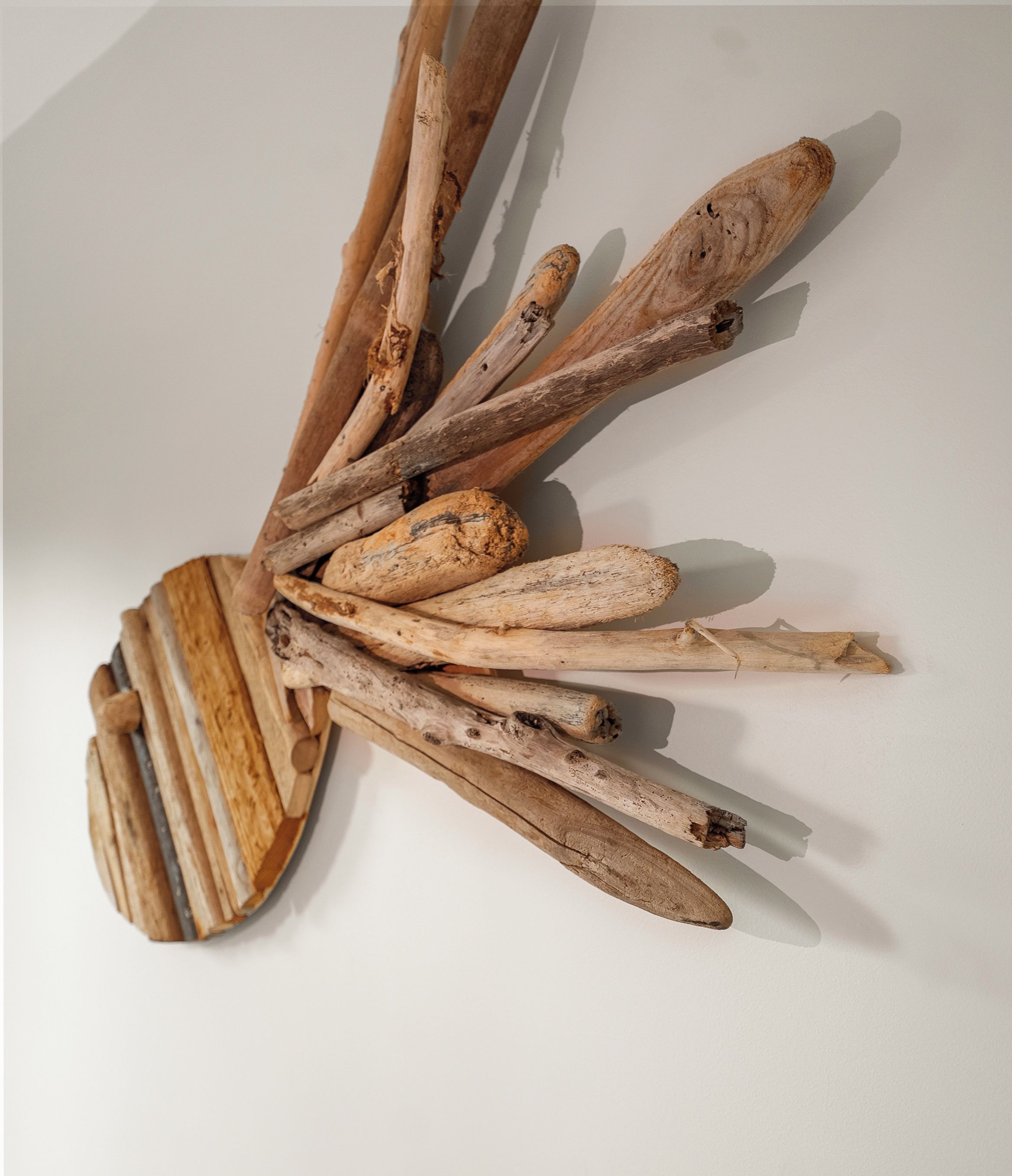 A wall-mounted wooden sculpture with various branches and a circular element.