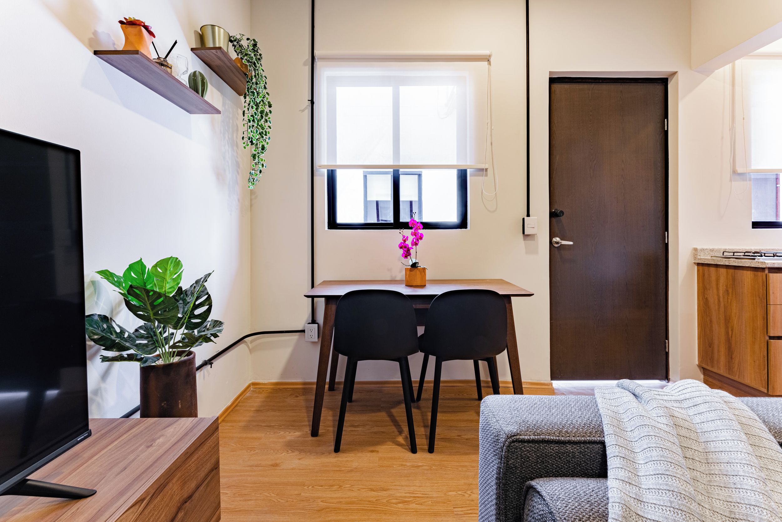 Ett kompakt bostadsutrymme med en platt-TV, ett matbord med två stolar, en krukväxt och en dörr.
