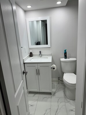 Bathroom - Private basement suite with separate entrance (Brampton)