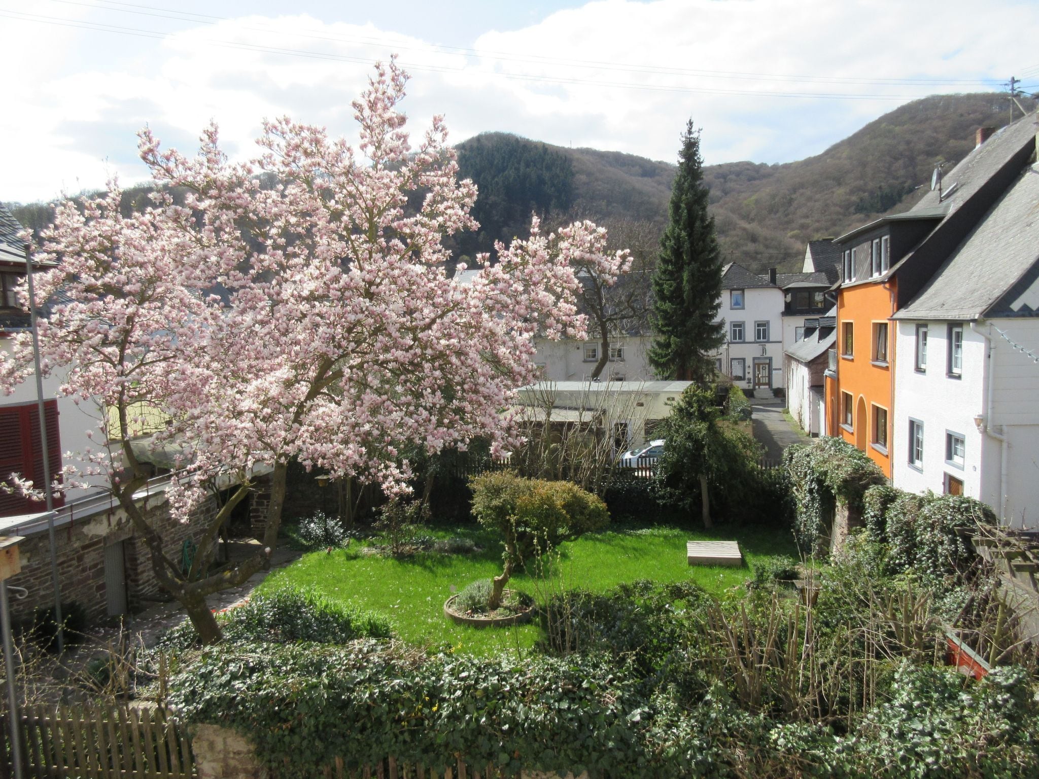 A residential area with houses, a garden with a cherry blossom tree, and a mountain in the background.