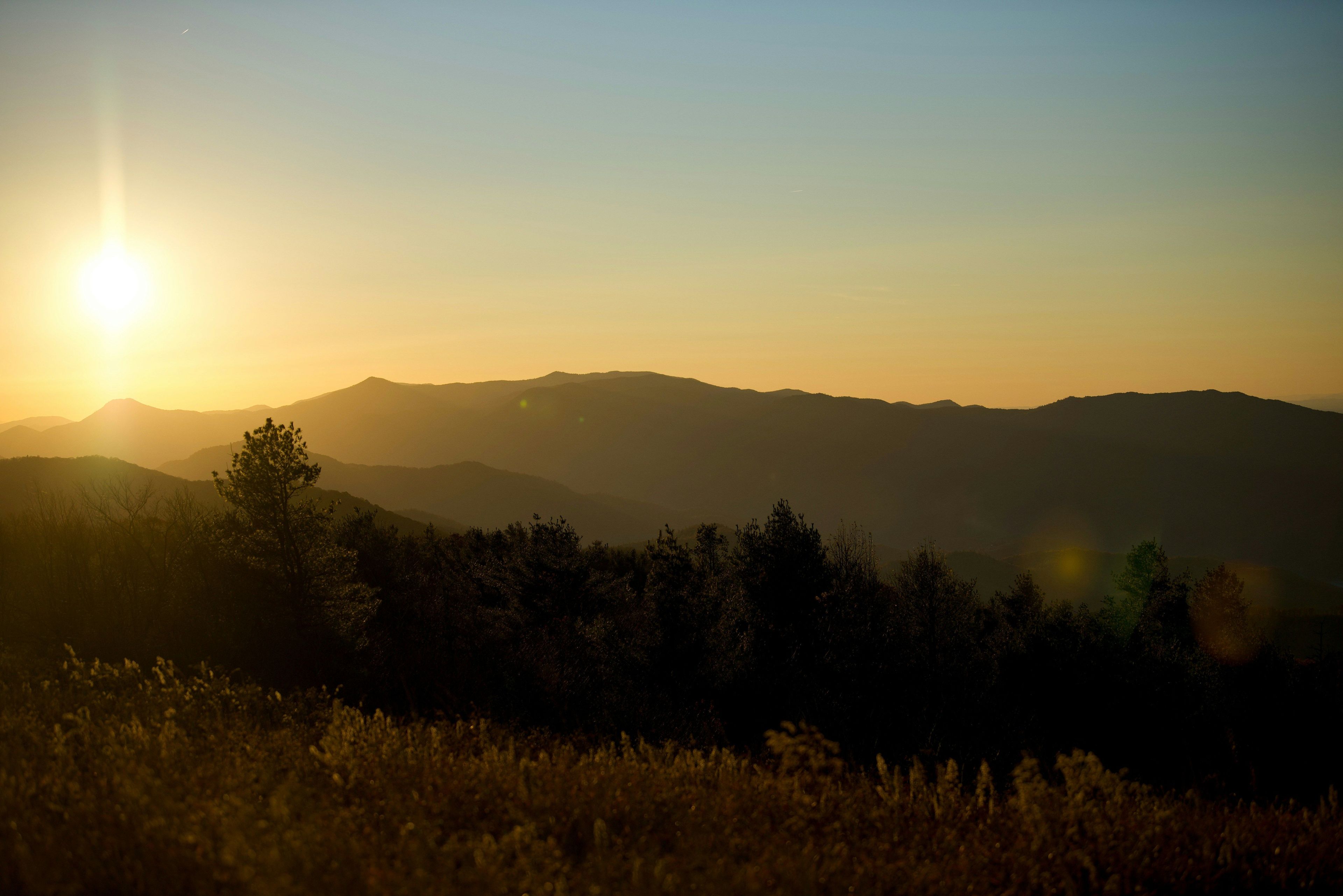 A landscape with mountains and a tree silhouette.