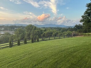 A grassy field with a wooden fence, trees, and distant mountains.