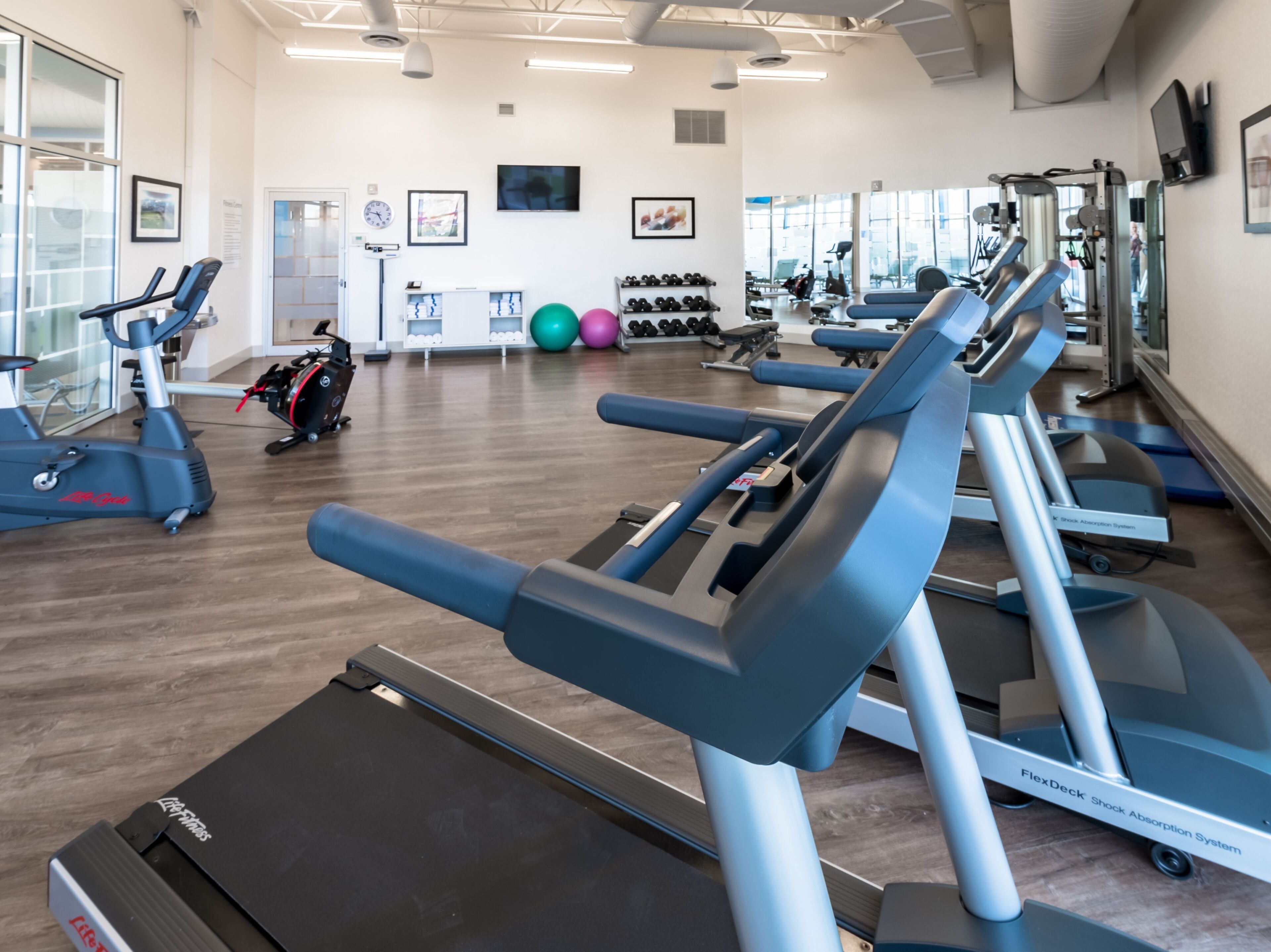 A gym with treadmills, exercise balls, and dumbbells.