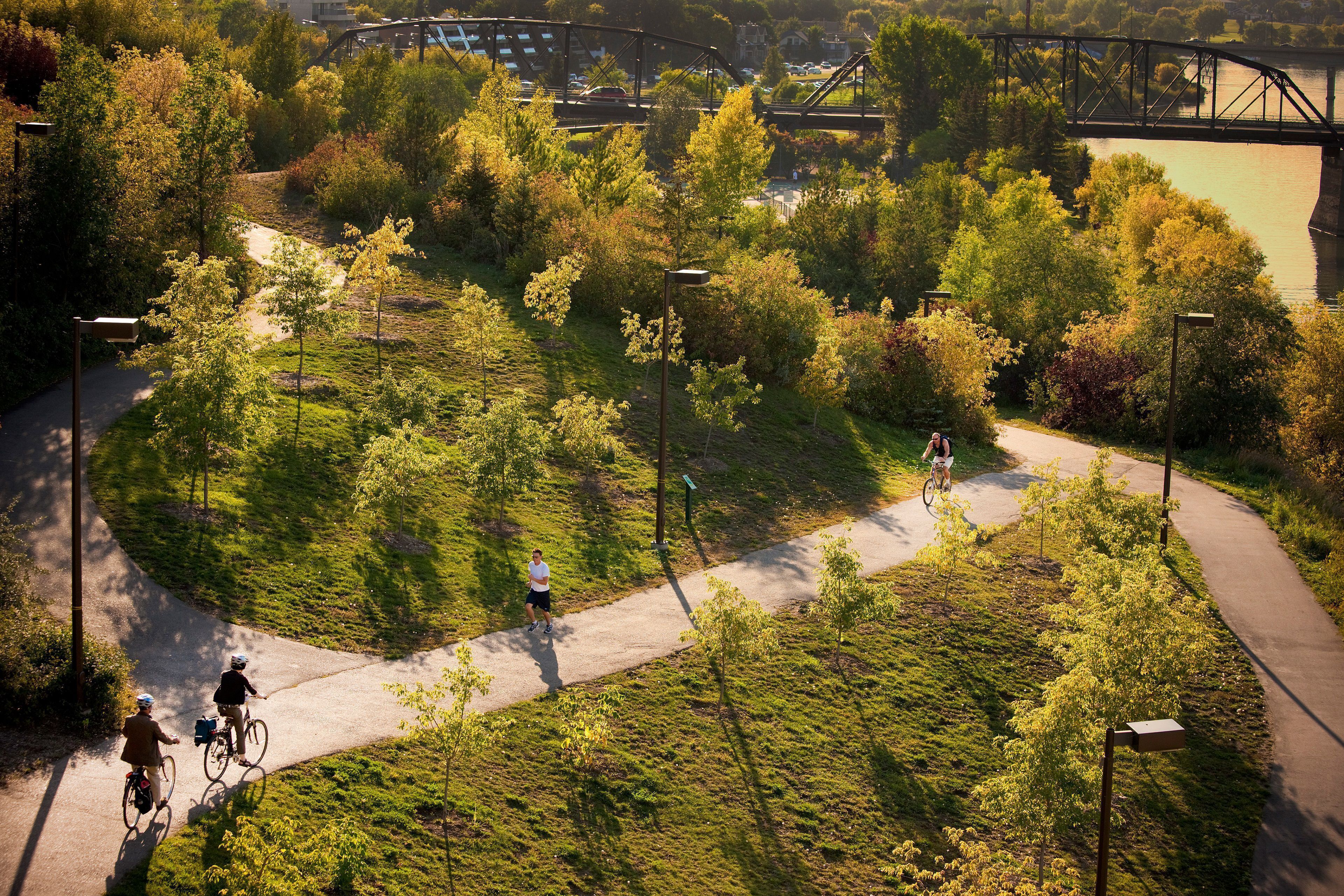 Ein befestigter Weg mit Radfahrern, umgeben von Grünpflanzen und einer Brücke im Hintergrund.