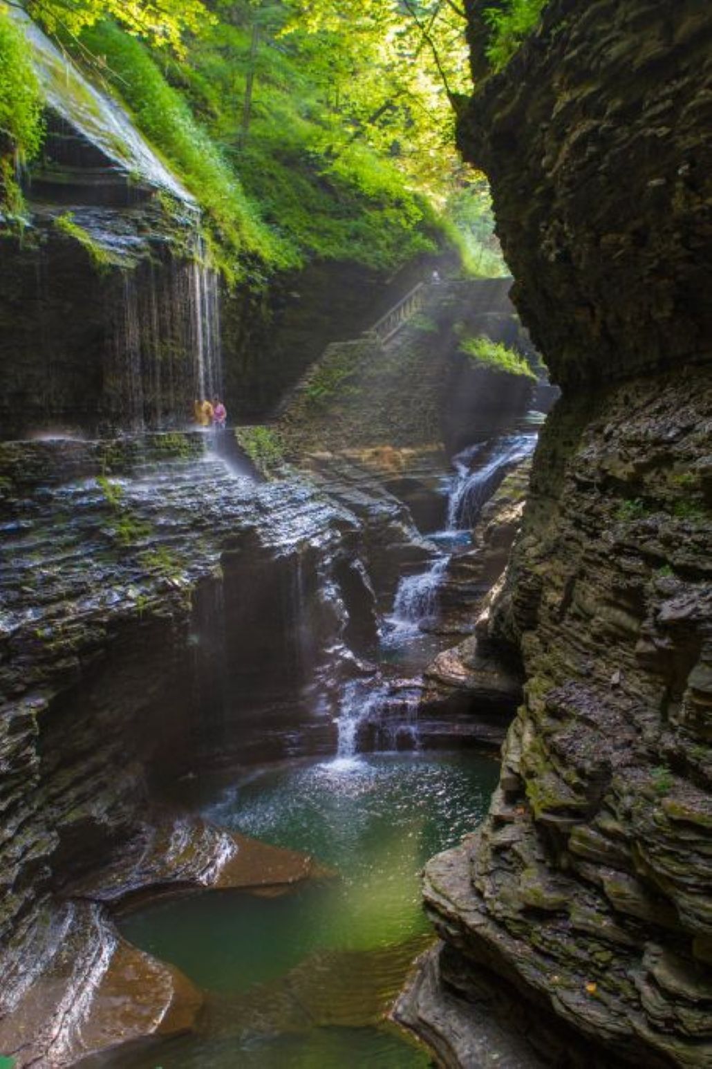 Une cascade naturelle située dans une zone boisée, avec un pont en pierre.