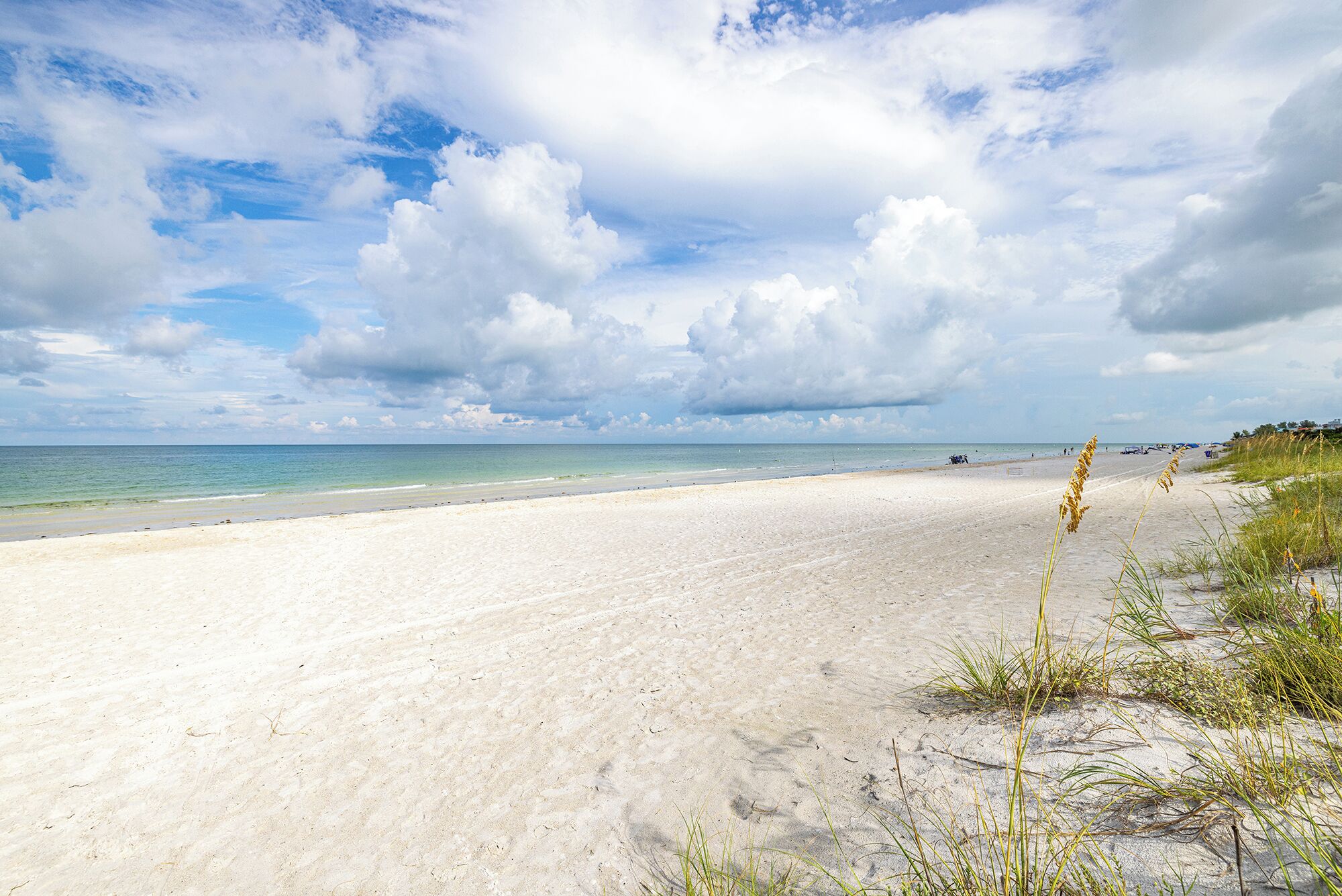 Une plage avec une vaste étendue de sable, un ciel dégagé et des baigneurs qui se trouvent au loin.