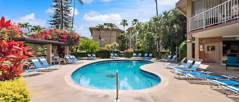 A pool area with lounge chairs and a clear blue pool.