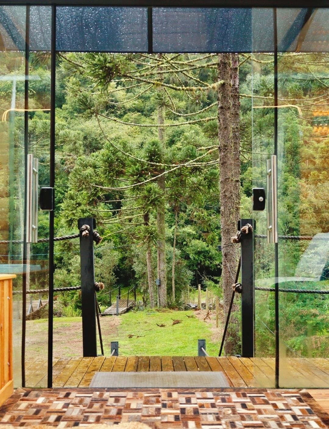 A room with a view of a forest through large glass windows, a wooden floor, and a metal railing.