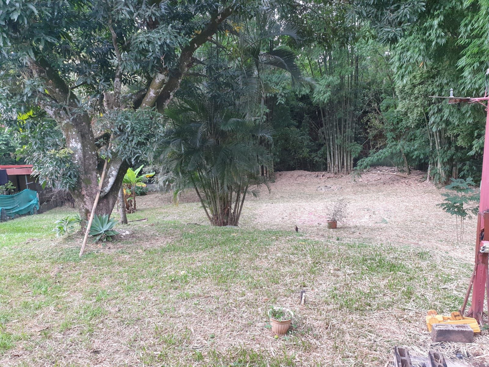 Un jardin avec différents arbres et un petit étang.