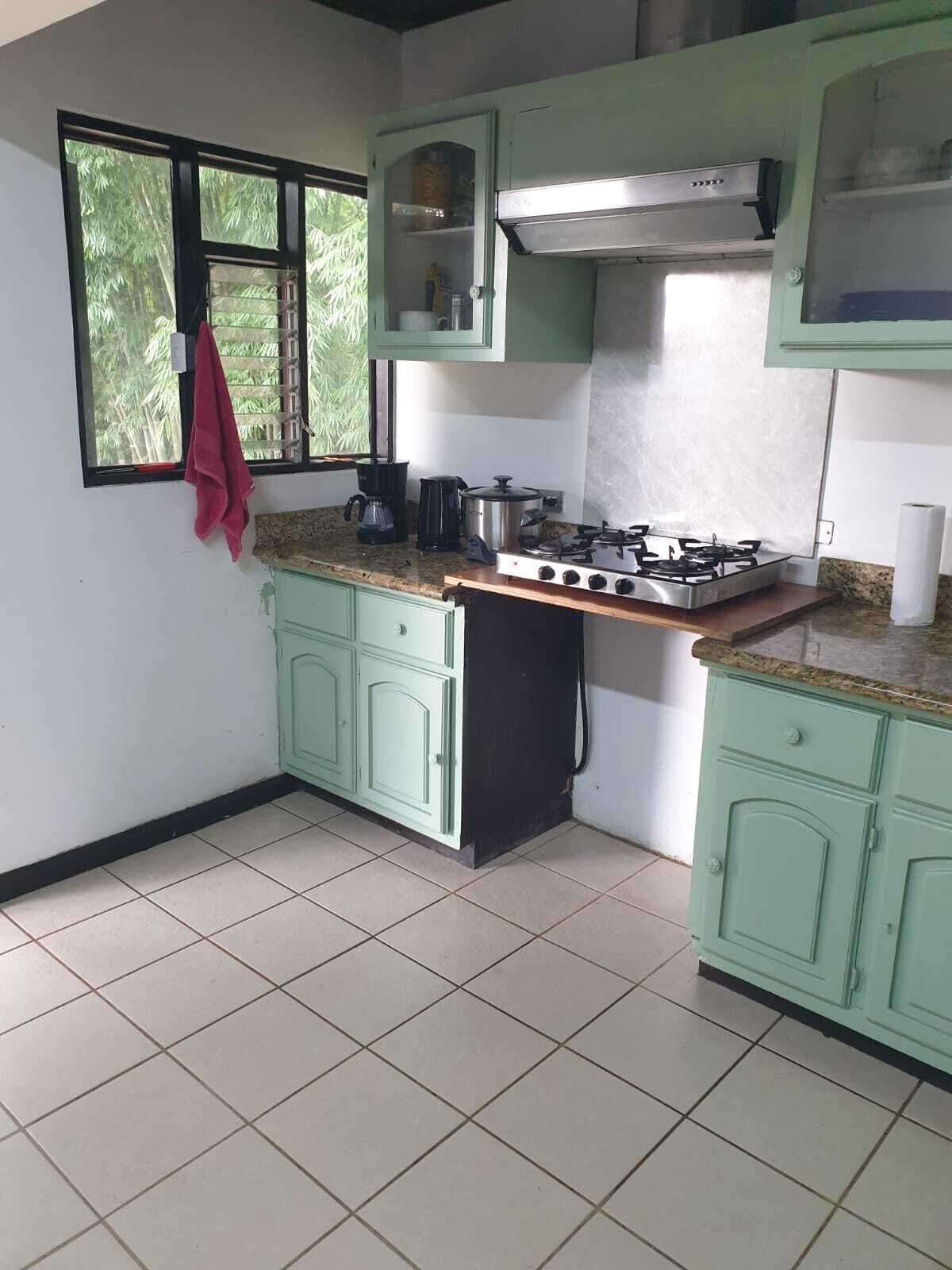 A kitchen with green cabinets, a gas stove, a coffee maker, and a window with a view of trees.