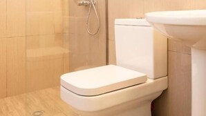 Un baño con inodoro, ducha y lavamanos.